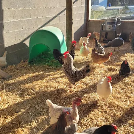 בית נופש En Pays D'othe